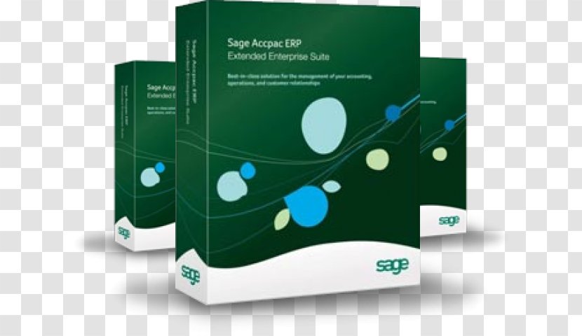 Enterprise Resource Planning Computer Software Sage 300 Group - Business Transparent PNG