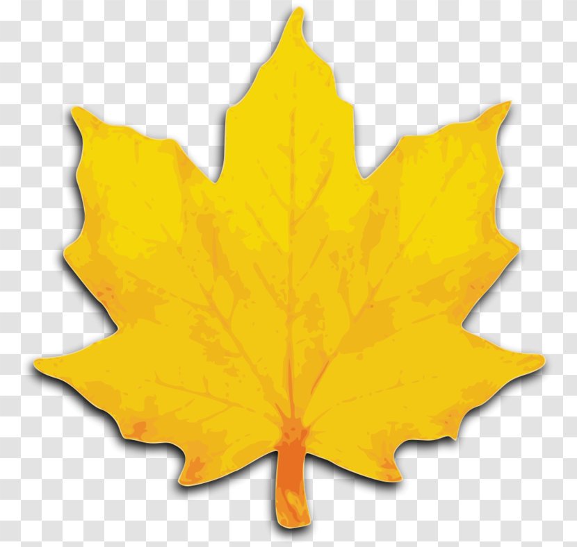 Maple Leaf Sugar Clip Art - Green - Brush Stroke Clipart Transparent PNG