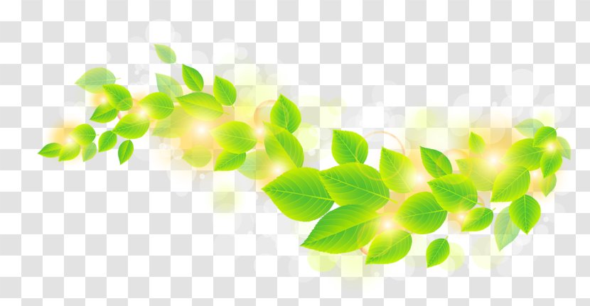 Leaf Green Clip Art - Sunlight - Background Transparent PNG