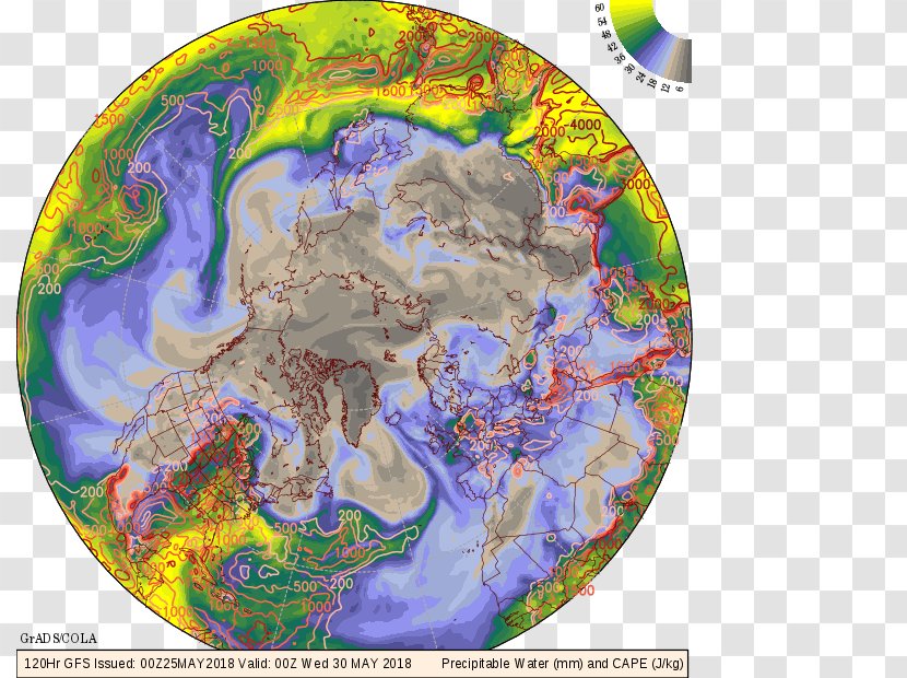 World Earth /m/02j71 Map Organism Transparent PNG