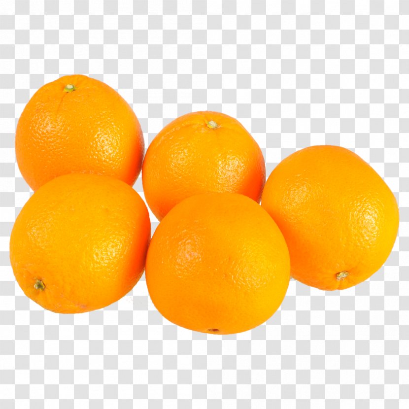 Clementine Tangerine Mandarin Orange Tangelo Valencia - 5 Oranges Fruit Transparent PNG