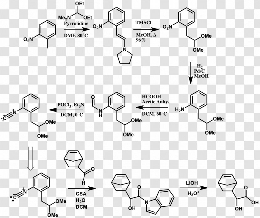 Biochemistry Bioinformatics Combinatorial Chemistry Technology - Diagram - Synth Transparent PNG