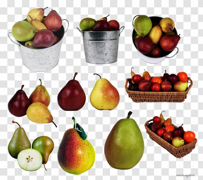 Pear Food Fruit - Image File Formats - Mangosteen Transparent PNG