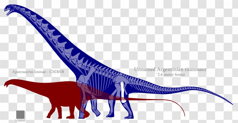 Dinosaur Line - Organism Transparent PNG