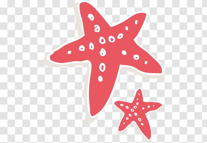 Starfish Euclidean Vector Cartoon - Designer Transparent PNG