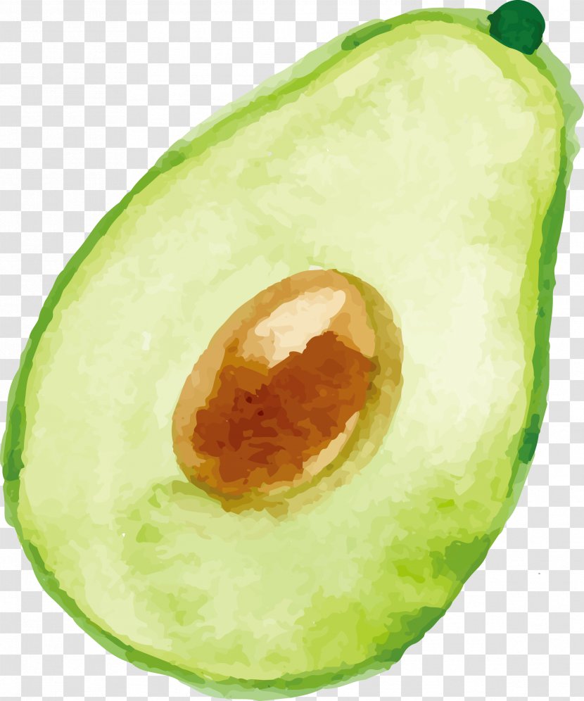 Avocado Watercolor Painting - Fruit - Vector Transparent PNG