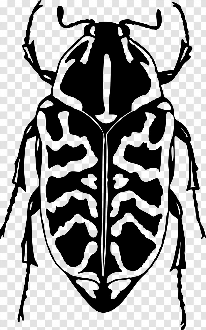 Ladybird Beetle Scarabs Clip Art - Pollinator Transparent PNG