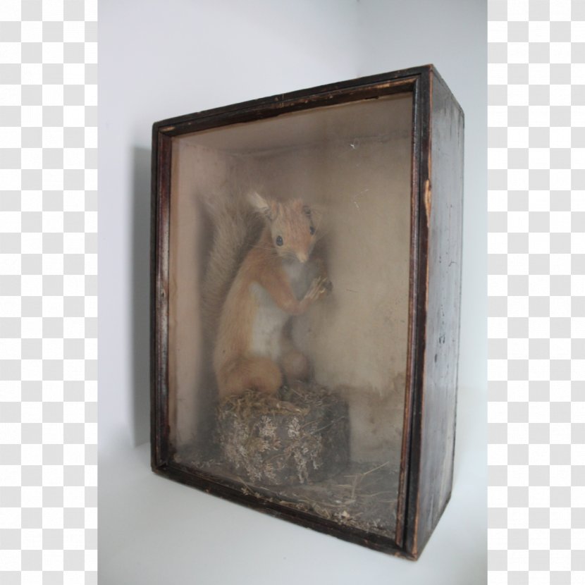 Basket Picture Frames Theatrical Property Price Deer - Red Squirrel Transparent PNG