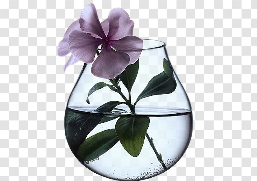 Vase Les Vertus Des Plantes Flower Ceramic Floral Design - Bouquet Transparent PNG