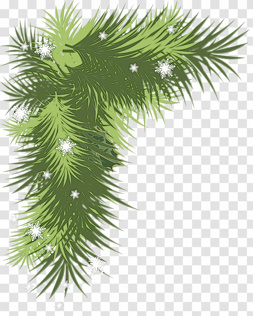 Christmas Black And White - Day - Balsam Fir Elaeis Transparent PNG