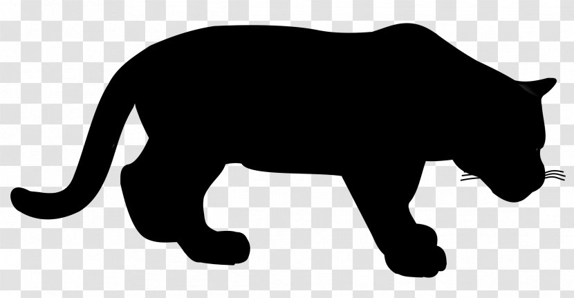 Whiskers Cat Black Panther Bear Dog - Snout Transparent PNG