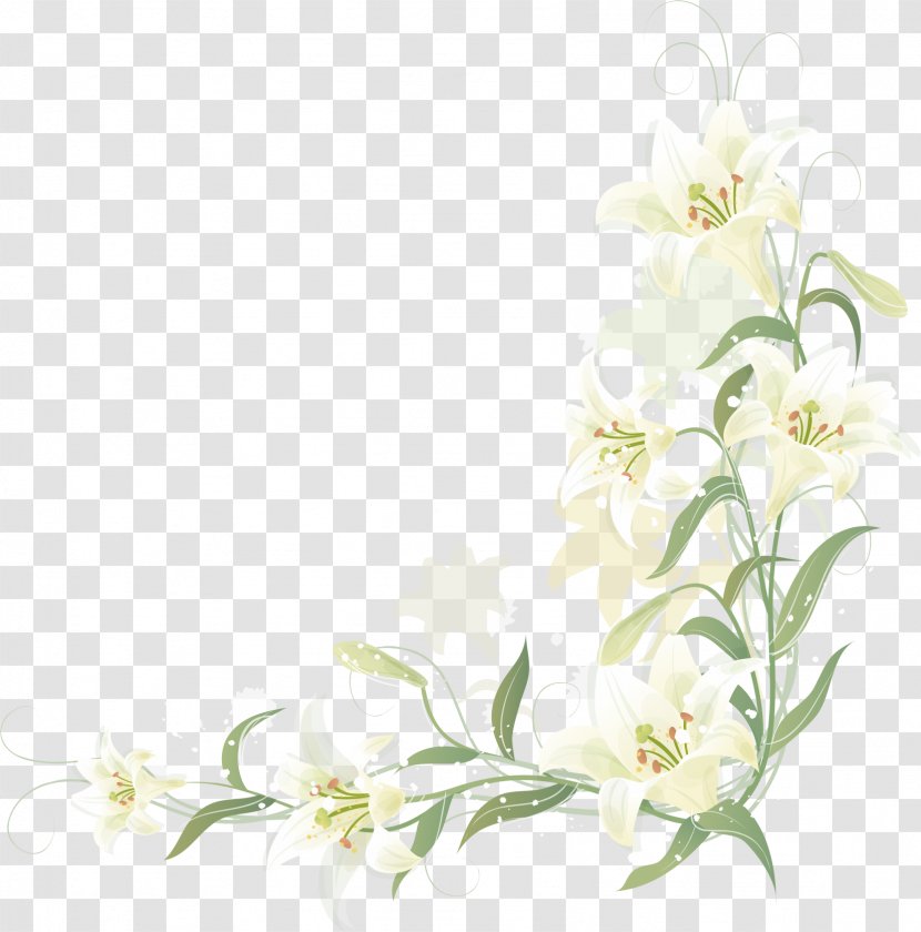 Hand-painted Lily Border - Painting - Petal Transparent PNG