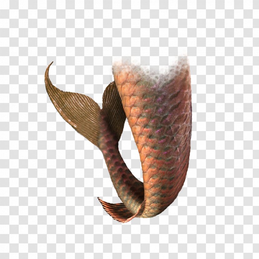 Mermaid Tail - Creative Brown Transparent PNG