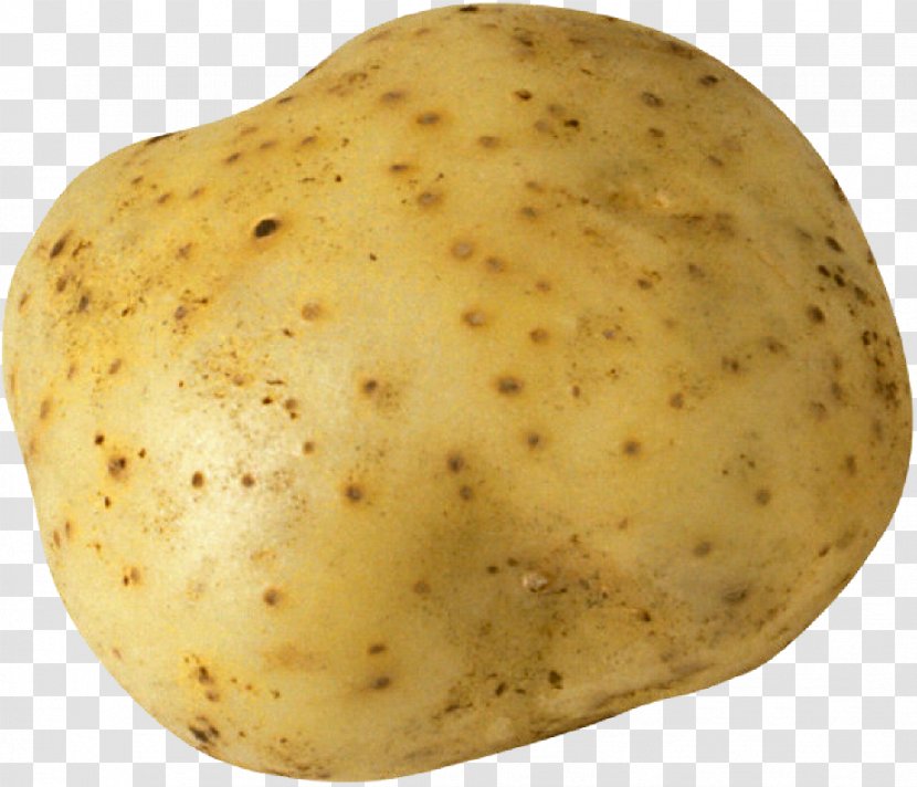 Potato And Tomato Genus Tuber Vegetable - Russet Burbank Transparent PNG