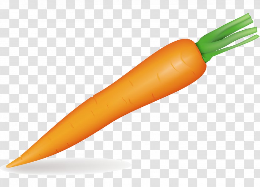 Carrot Vegetable Clip Art - Radish Transparent PNG