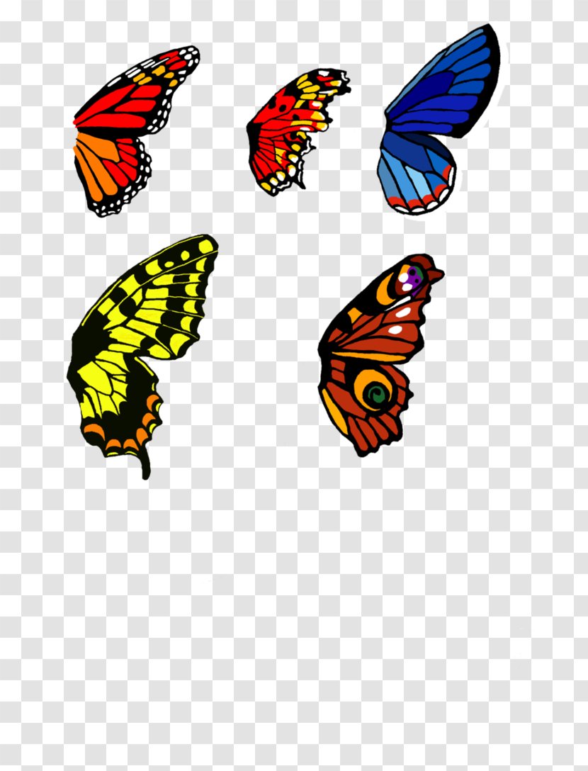 Butterfly Wing Insect Art Painting - Brush Footed - Wings Transparent PNG