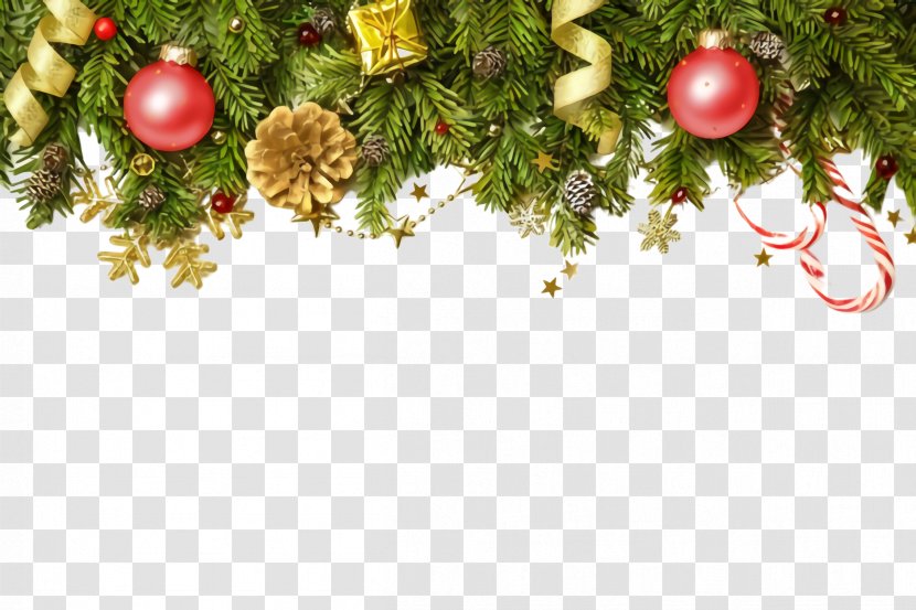 Christmas Decoration - Plant - Spruce Transparent PNG