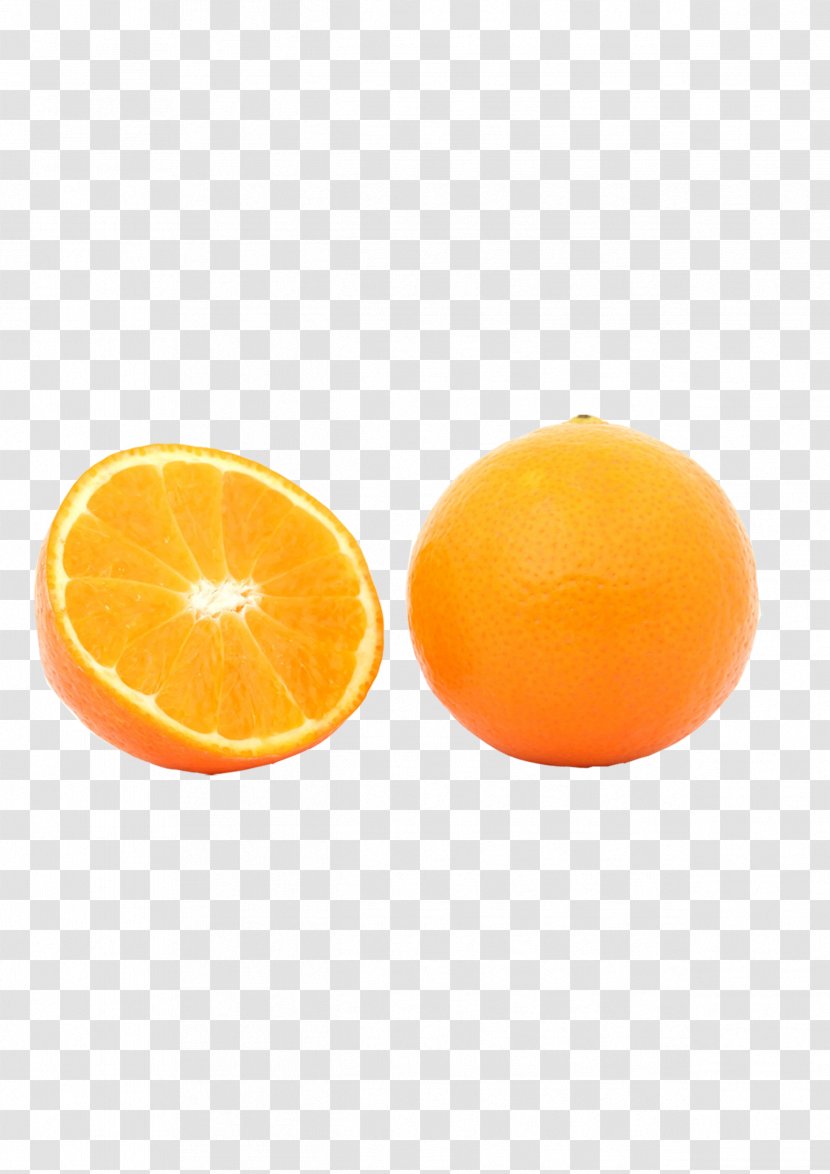 Clementine Tangerine Orange Food Transparent PNG