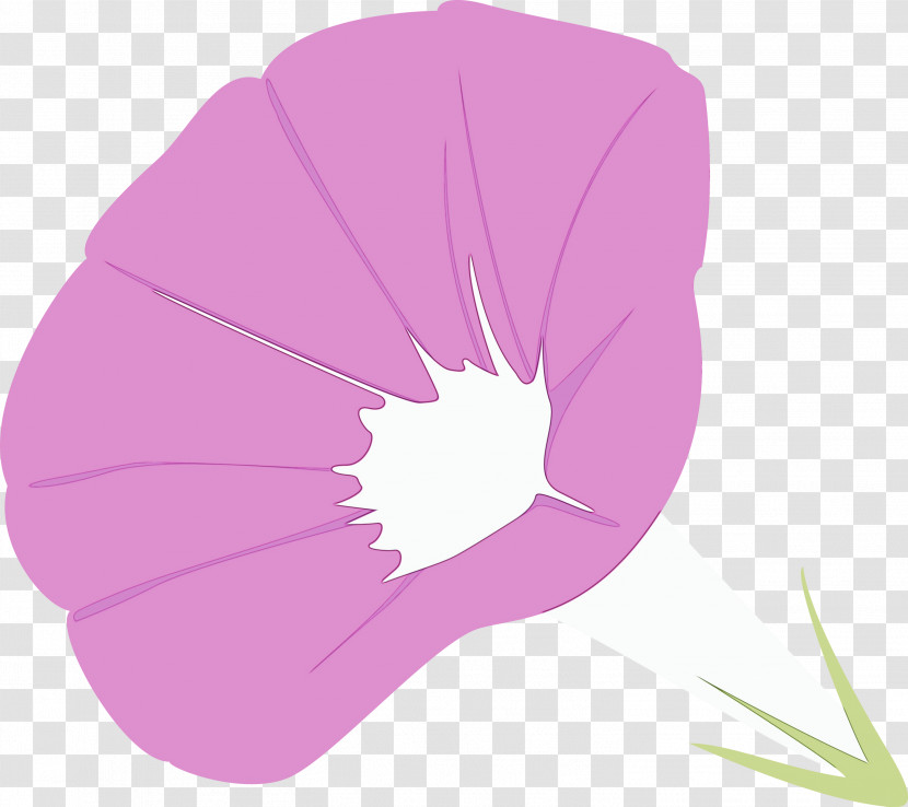 Pink Violet Purple Petal Leaf Transparent PNG