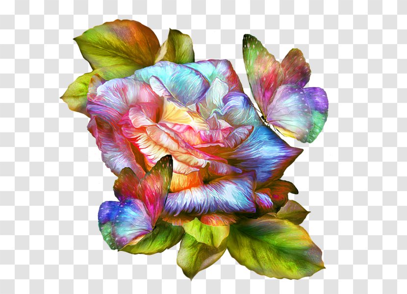 Rainbow Rose Art - Rainbow-colored Roses Transparent PNG