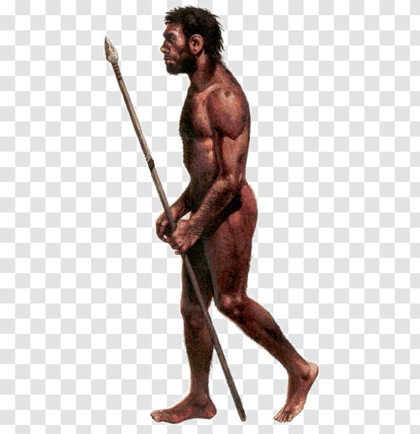 Neandertal Cro-Magnon Rock Shelter Primate Anatomically Modern Human Early Migrations - Silhouette - Frame Transparent PNG