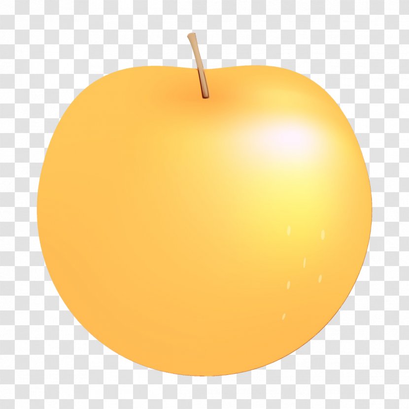 Orange - Fruit - Peach Tree Transparent PNG