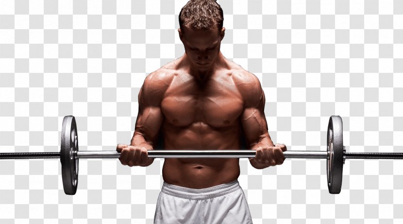 Physical Fitness Weight Training Exercise Personal Trainer Bodybuilding - Silhouette - Athlete Transparent PNG