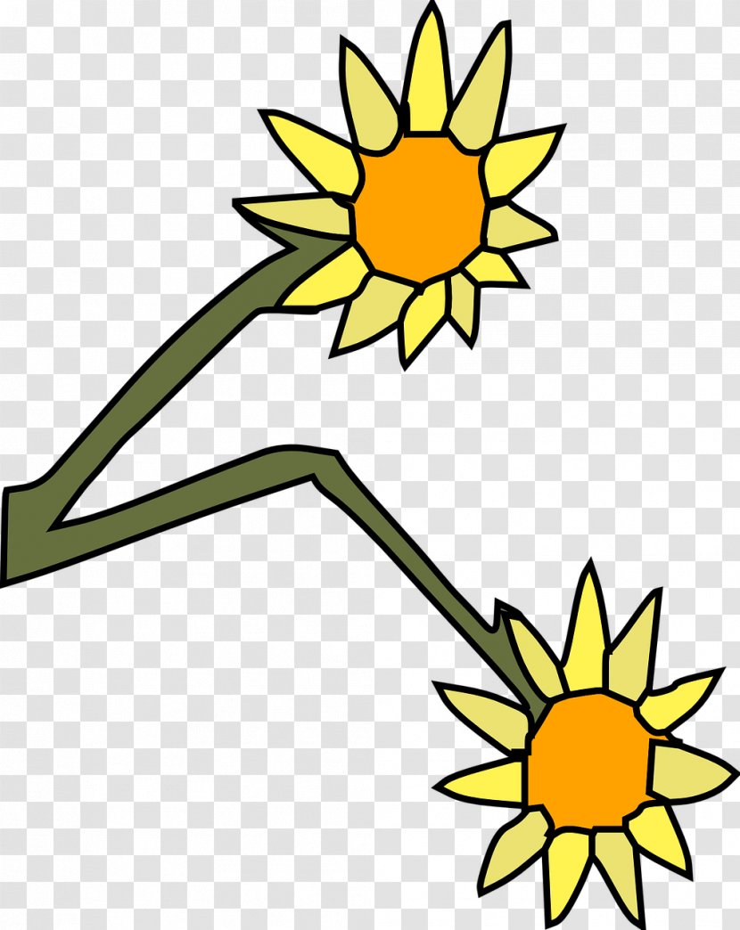 Common Sunflower Yellow Cut Flowers Clip Art - Flower Transparent PNG