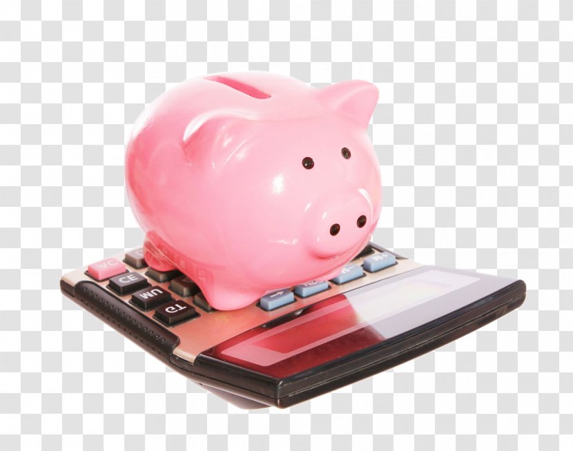 Piggy Bank Money Stock Photography Saving Investment - On A Computer Transparent PNG