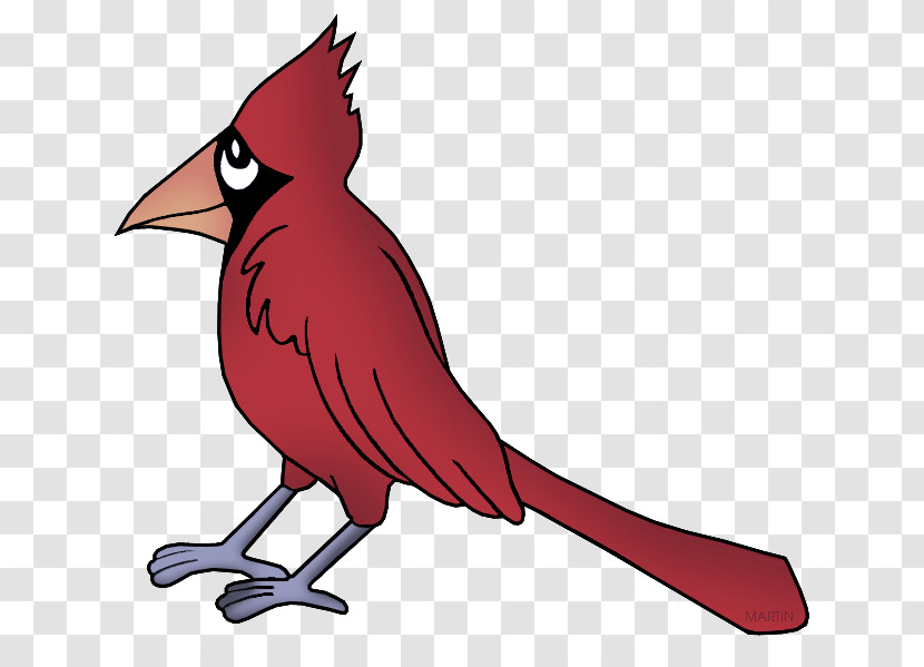 Bird Northern Cardinal Cardinal Beak Red Transparent PNG