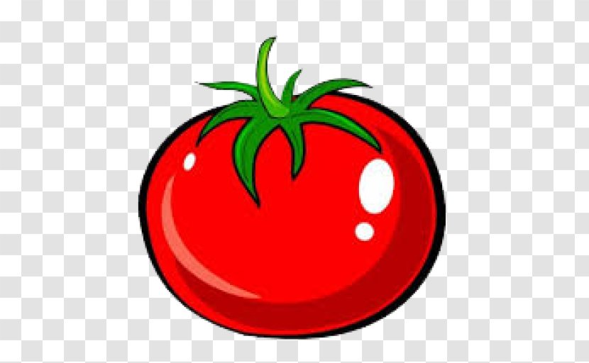 Tomato Drawing Vegetable Clip Art - Food Transparent PNG