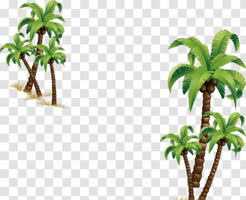 Coconut Tree Computer File - Grass Transparent PNG