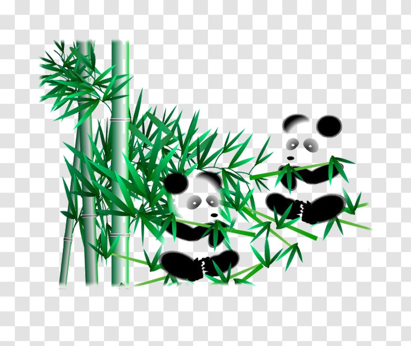 Giant Panda Bamboo Clip Art - Logo Transparent PNG