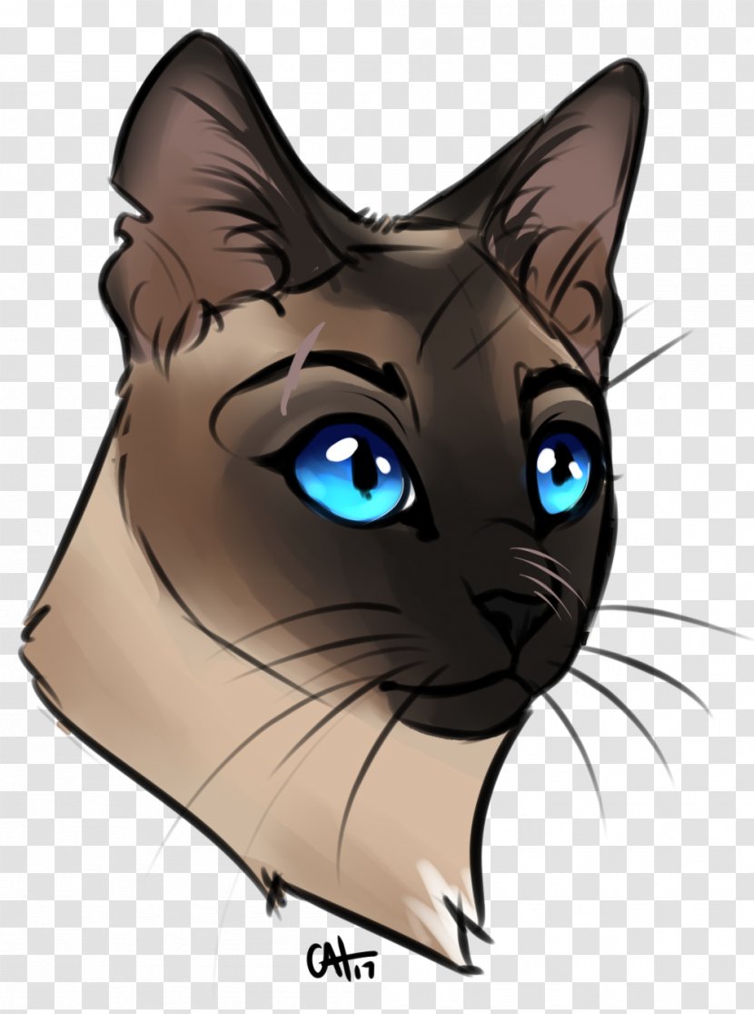 Whiskers Havana Brown Kitten Black Cat Domestic Short-haired - Watercolor Transparent PNG