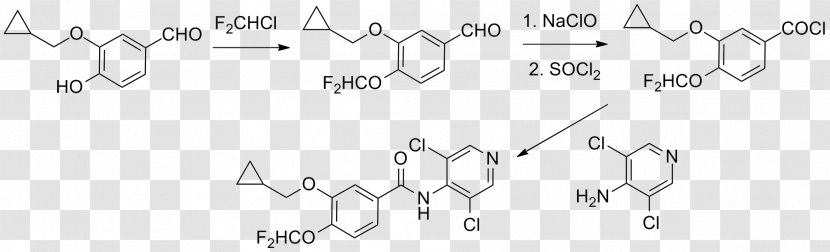 Chemistry Halogen Molecule Chemical Synthesis Structure - Alkene Transparent PNG