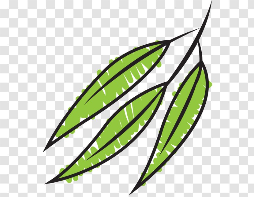 Clip Art Leaf Line Tree - Plant - Flower Transparent PNG