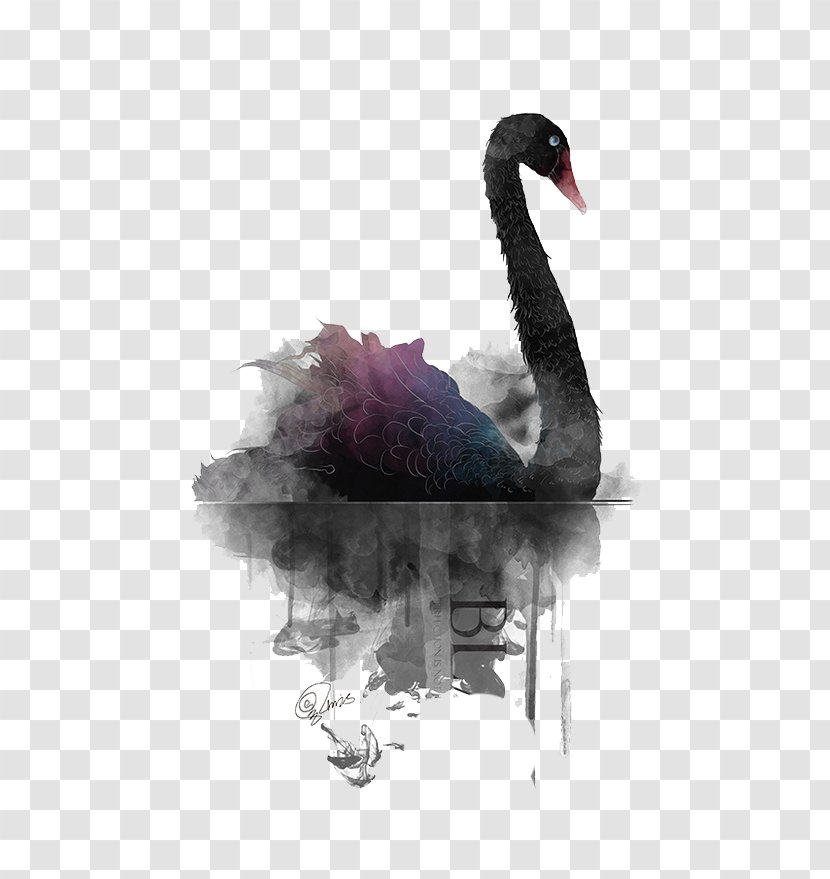 Black Swan Painting - Cygnini - Simple Watercolor Transparent PNG