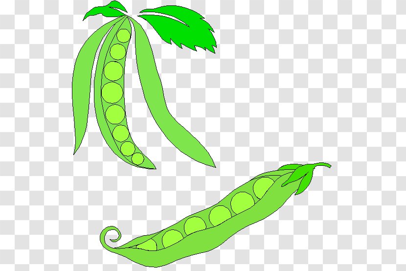 Snap Pea Vegetable Clip Art - Plant Stem Transparent PNG