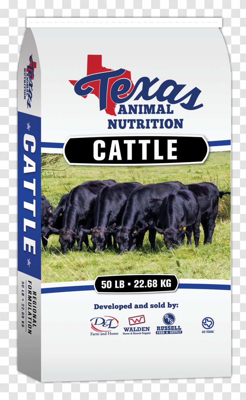 Beef Cattle Horse Feeding Equine Nutrition Ranch - Grain Transparent PNG