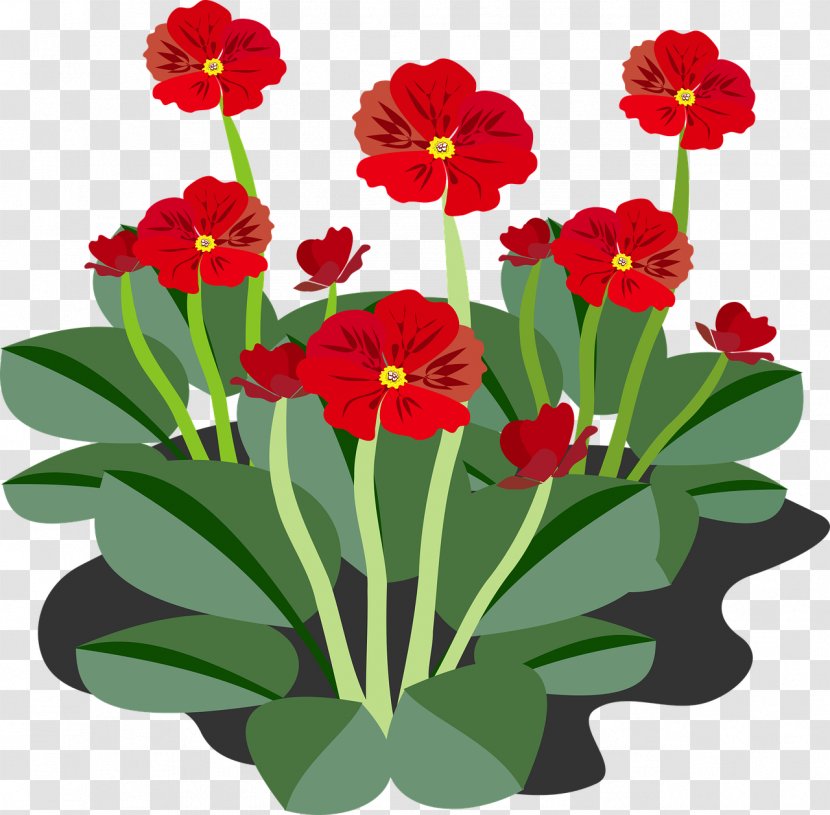 Flower Plant Clip Art - Violet Family Transparent PNG