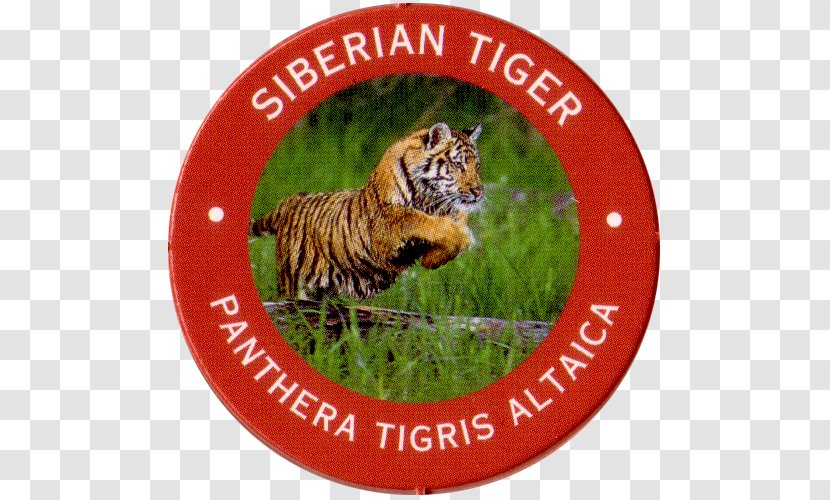 Tiger Sales International Union Of Operating Engineers Art Christmas Ornament Transparent PNG