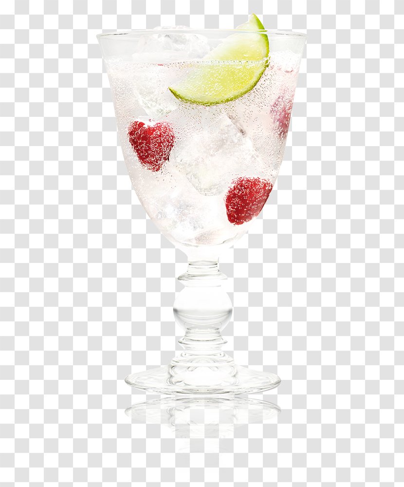 Cocktail Garnish Cointreau Fizz Carbonated Water - Margarita - Raspberries Transparent PNG