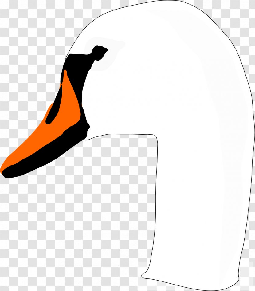 Cygnini Bird Duck Beak Clip Art - Swan Transparent PNG