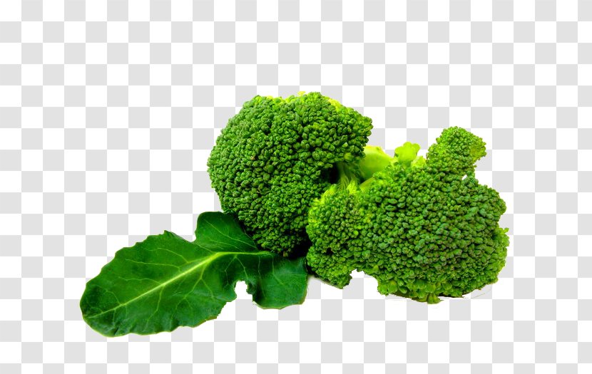 Broccoli Slaw Vegetable - Organism Transparent PNG