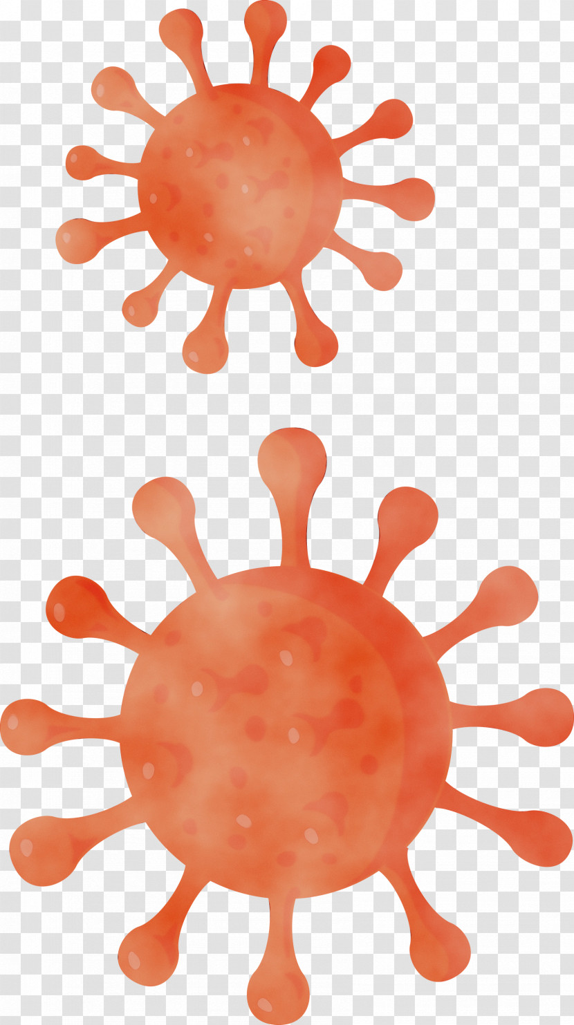 Orange Transparent PNG