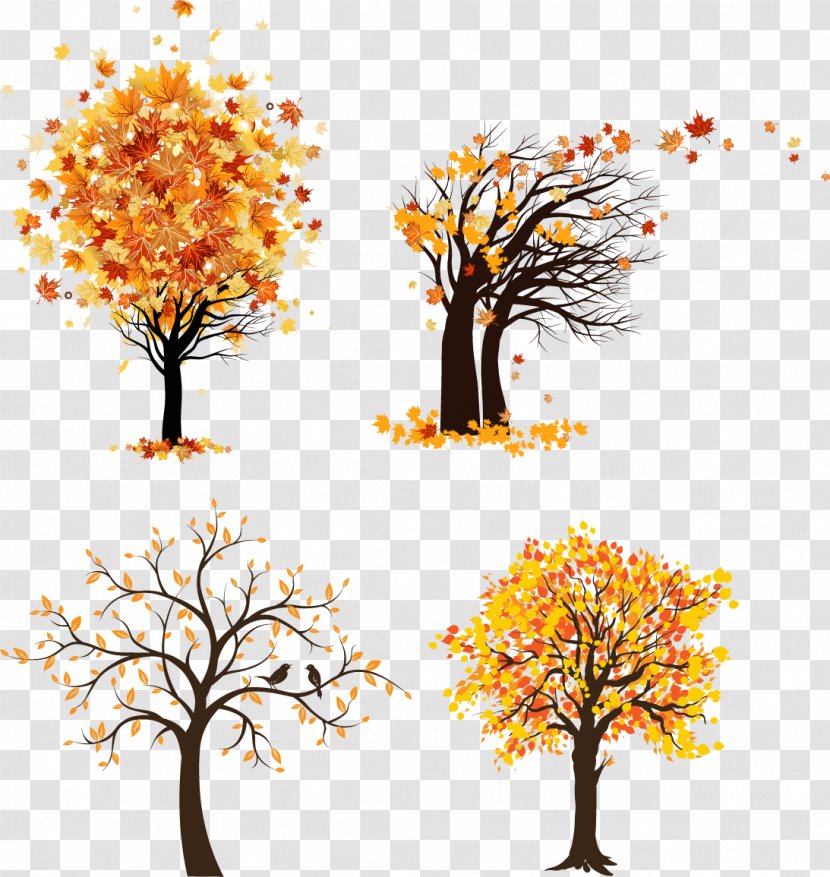 Vector Graphics Tree Clip Art Autumn Maple - Spring Transparent PNG