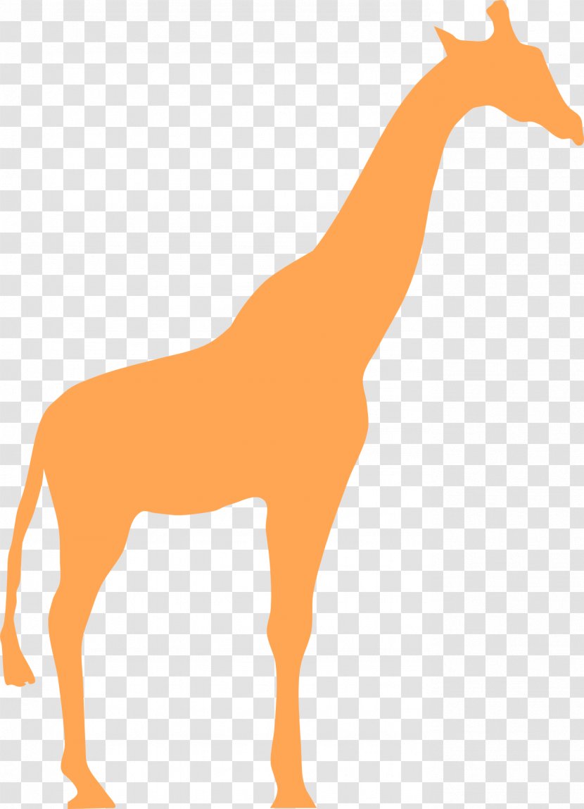 Northern Giraffe Silhouette Clip Art - Organism Transparent PNG
