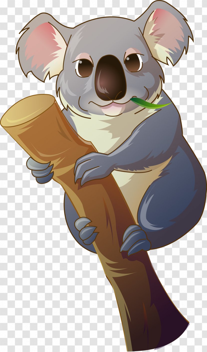 Koala Bear Clip Art - Vertebrate - Lazy Transparent PNG