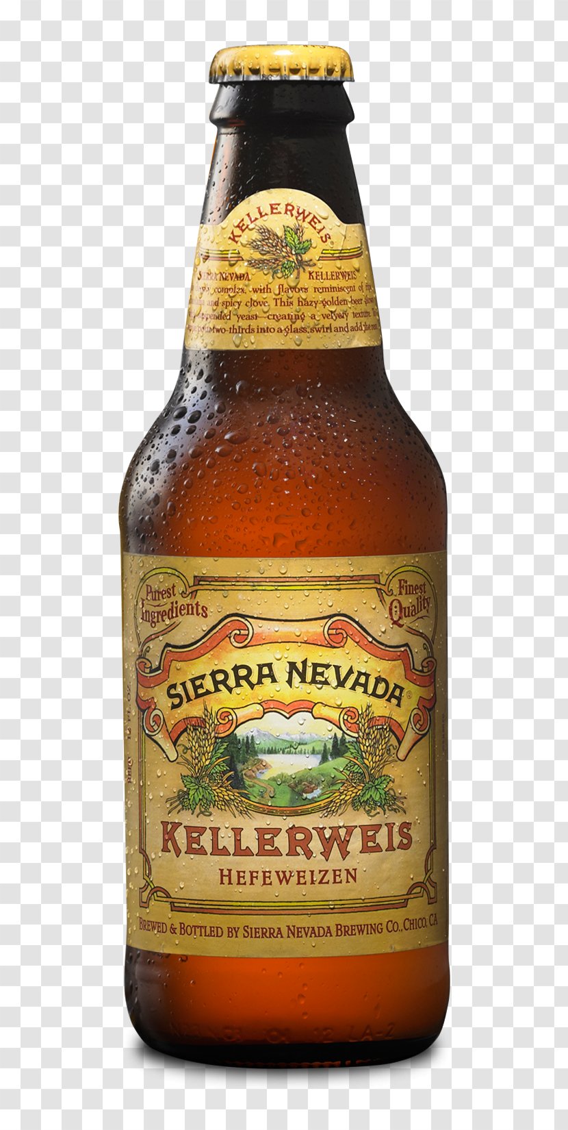 India Pale Ale Beer Sierra Nevada Brewing Company - Tree - Round Kick Technique Transparent PNG