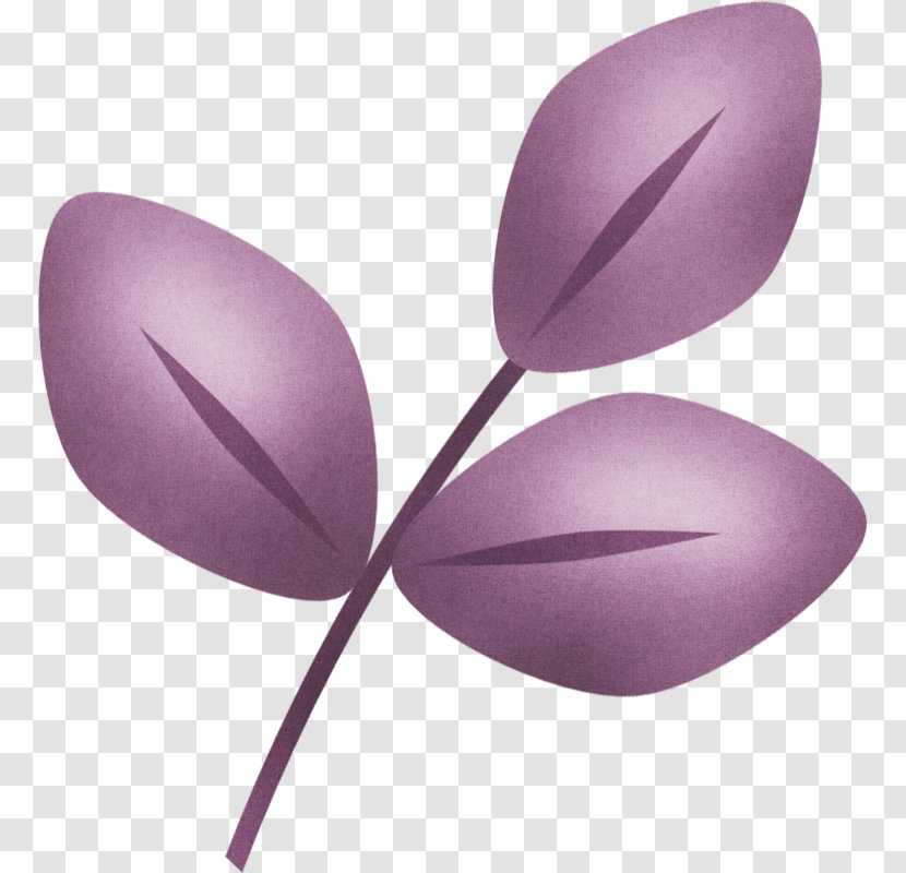 Violet Flower - Petal Plant Transparent PNG
